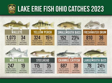 ohio game and fish|Lake Erie fishing report .